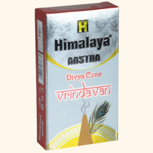 Divya Cone Vrindavan 40 Gm